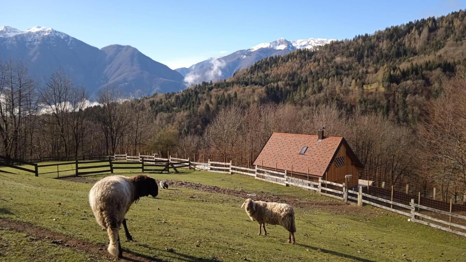 Chalet Navauce Raveo Exteriér fotografie